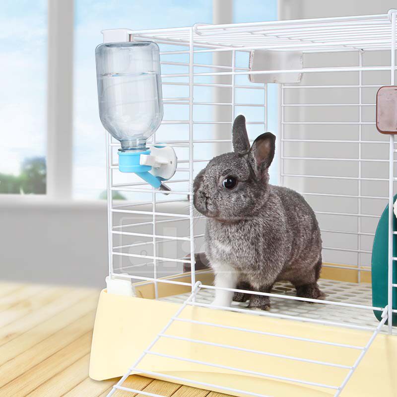 alice兔子喂水器滴滴宠爱水樽兔兔龙猫豚鼠荷兰猪饮水器仓鼠水壶,宠物/宠物食品及用品,兔兔饮水器,淘宝优惠券,粉丝福利购,淘宝优惠卷