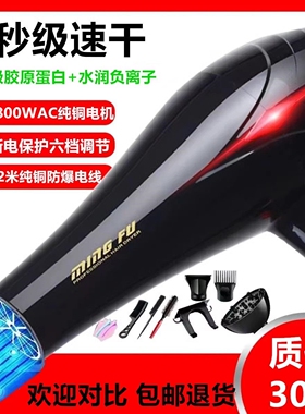 发廊吹风机3000w大风力功率负离