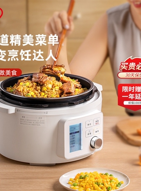 IRIS/爱丽思 PC-MA2-WCN电压力锅家用小型爱丽丝智一体多功能IRIS