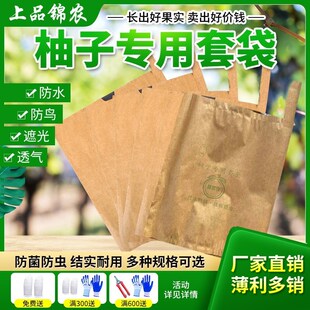 柚子套袋专用袋防虫鸟沙田柚蜜柚红心柚双层袋枇杷芒果加厚保护袋