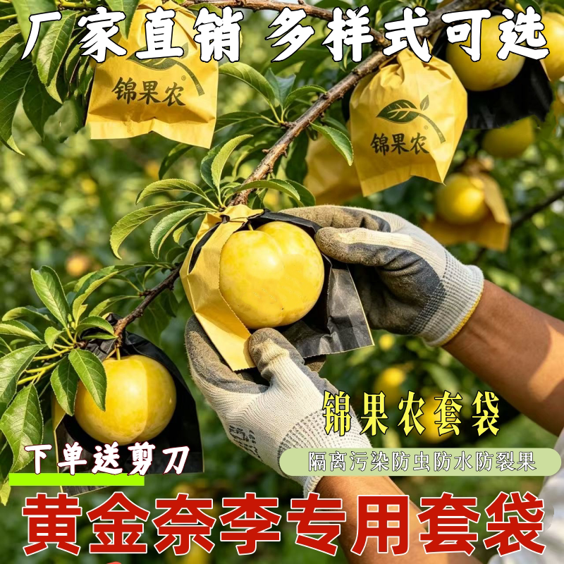 锦果农李子专用套袋防虫防裂果