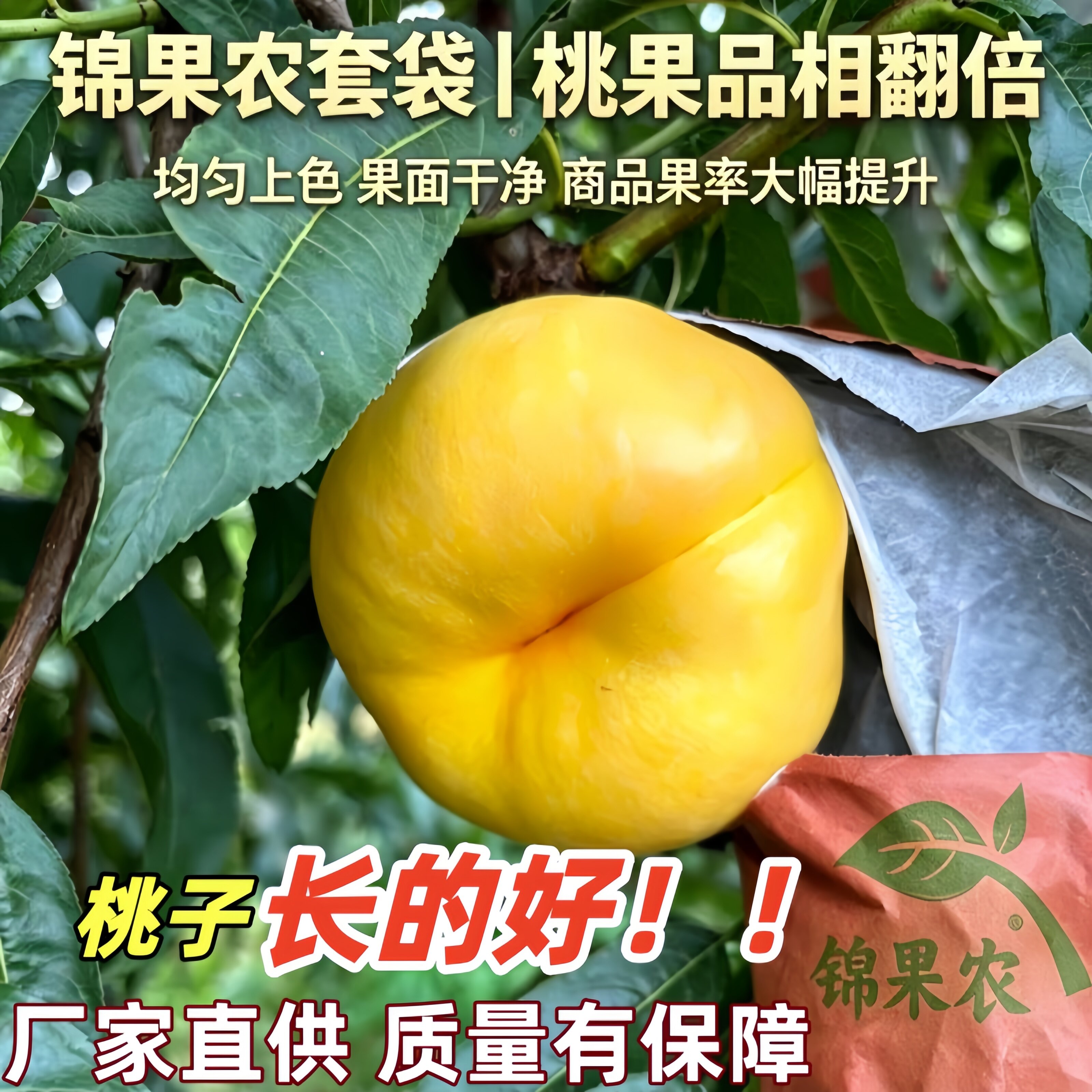 锦果农桃子专用套袋防虫防鸟防病