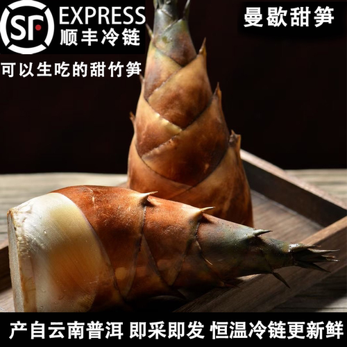 云南普洱甜笋新鲜现挖