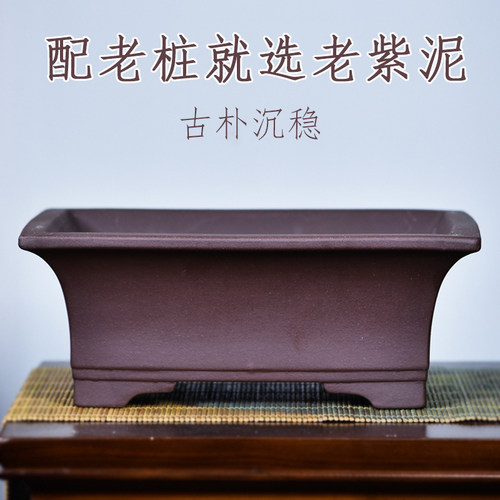 老紫泥古典老桩造景盆