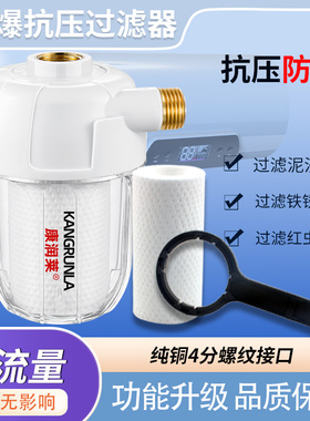 前置热水器过滤器家用净水器洗衣机马桶水龙头通用水垢滤水宝滤芯