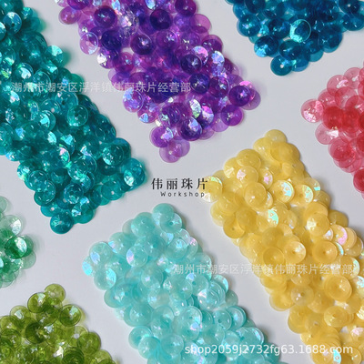 WLPVCPET刺绣亮片刺绣珠片