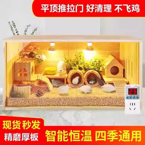 饲养箱恒温保温箱芦丁鸡