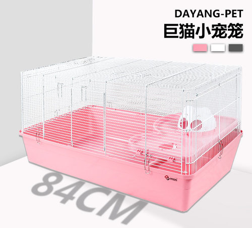 达洋巨猫r3h白色芦丁鸡笼花枝鼠