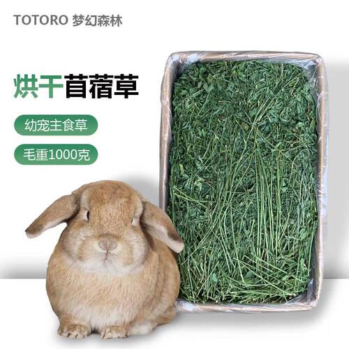 2024年烘干优质紫花苜蓿草