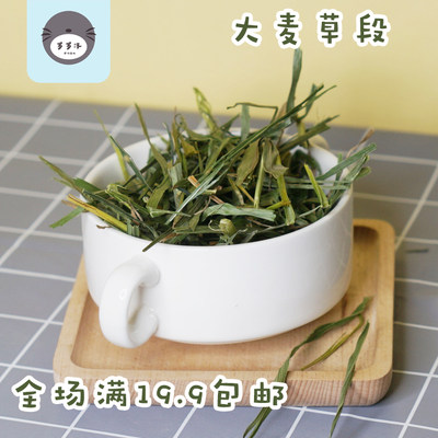 大麦草段100g富含粗纤维兔兔荷兰猪龙猫牧草干草全场满19.9包邮