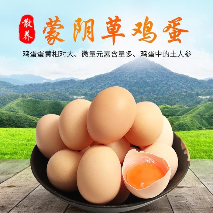 雞蛋土雞蛋沂蒙山高品質(zhì)草雞蛋農(nóng)村散養(yǎng)柴雞蛋笨雞蛋原生態(tài)養(yǎng)殖