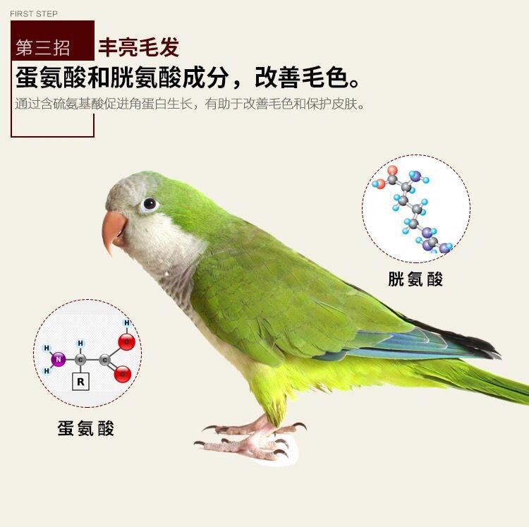 5斤鹦鹉无壳饲料虎皮牡丹玄凤小金太小和尚灰鸡博士天空粮食