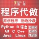 Python编程深度学习代做Java程序web系统设计c语言代码 编写R接单
