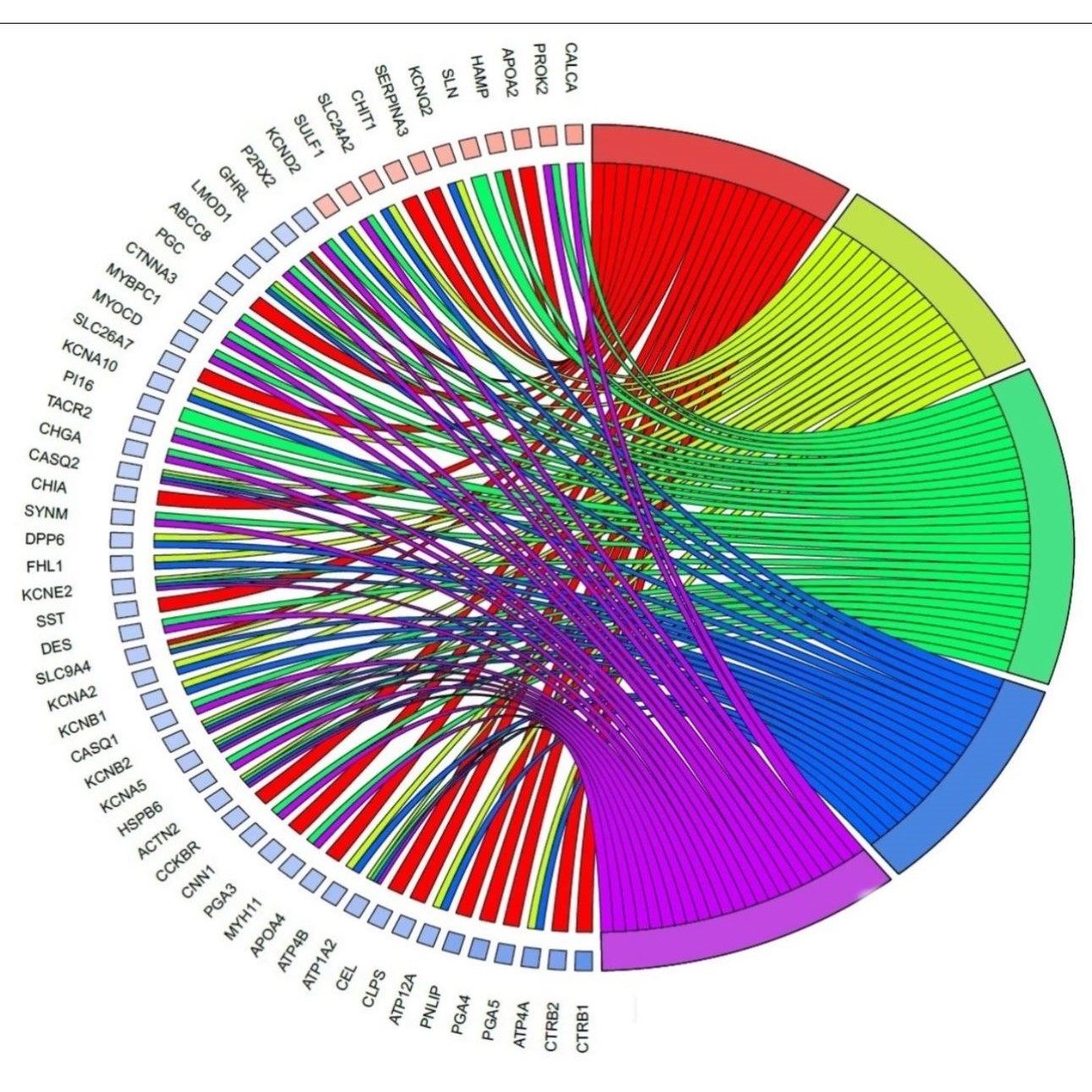 生信分析 tcga/geo数据库  kegg富集分析 火山图绘制