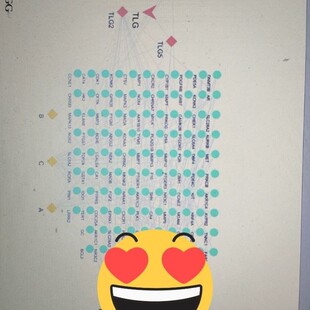 生物信息ATAC-seq染色质可及性/开放性测序数据生信分析 ATACseg