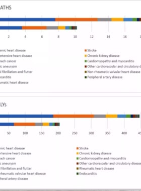 GBD数据库分析 选题思路医学sci发文 GBD全球疾病负担数据库挖掘