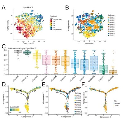 circos圈图基因组共线性生信分析R语言绘图服务