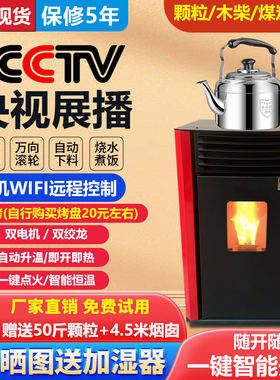 新型冬季智能生物质颗粒取暖炉小型家用全自动室内无烟颗粒采暖炉
