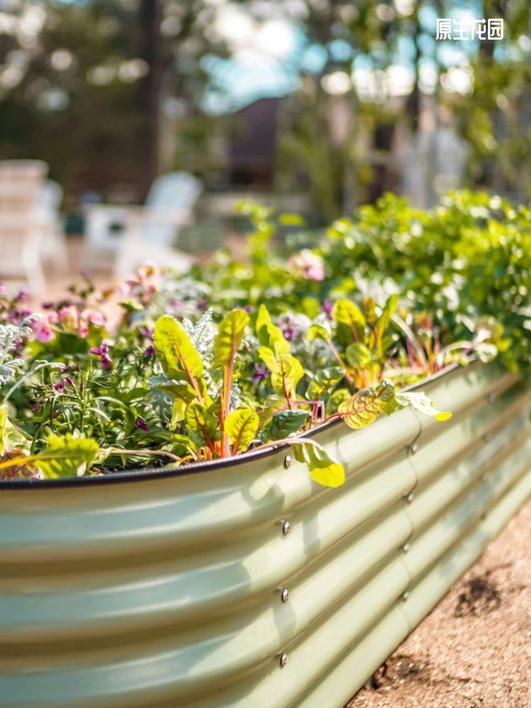 12n1一米菜园金属蔬菜种植框种植床池花盆户外阳台屋顶简约防白蚁