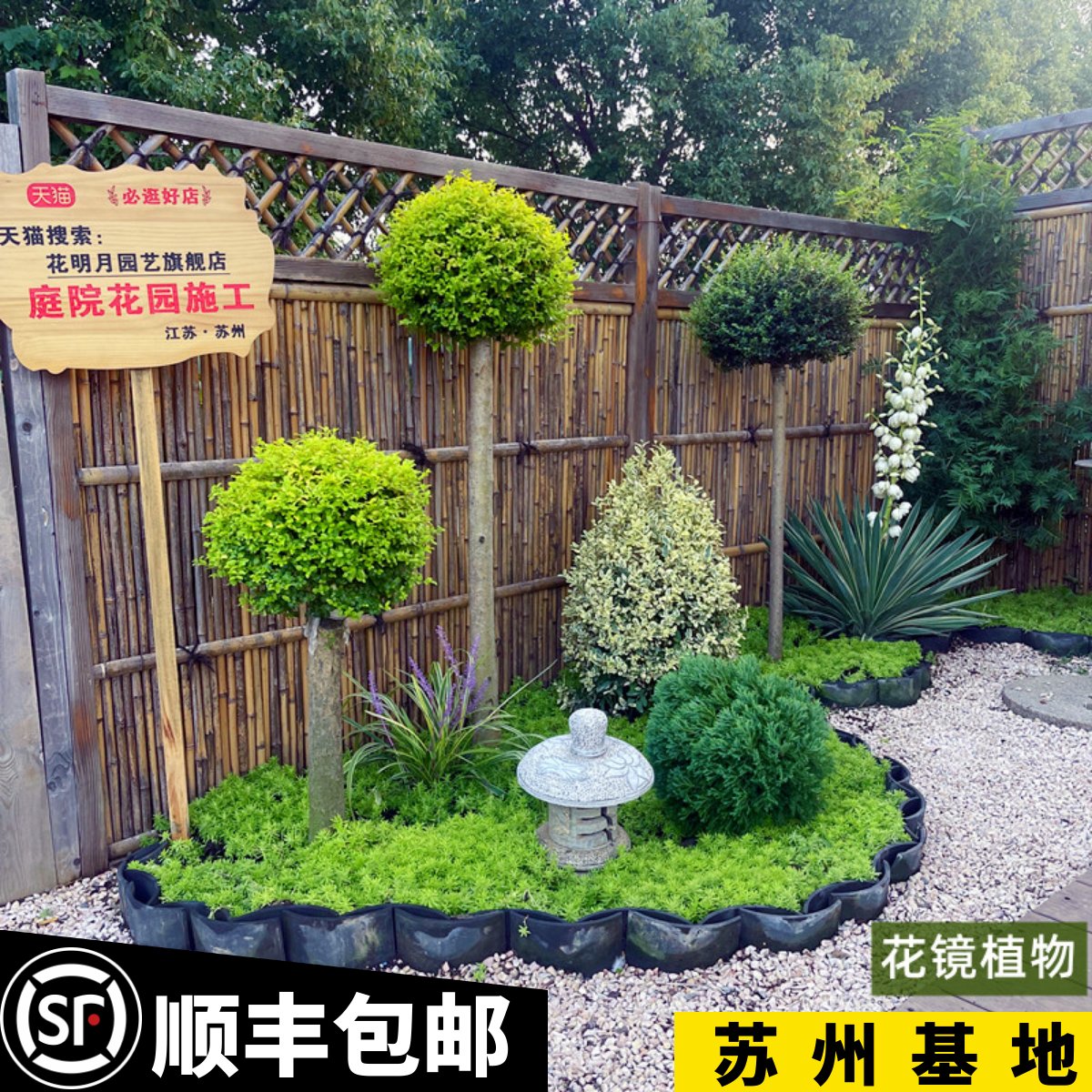 亮晶女贞花园搭配设计庭院别墅