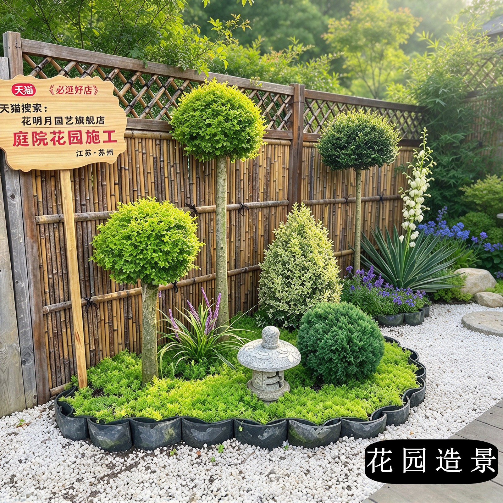 亮晶女贞棒棒糖川滇蜡树小叶亮金造型树老桩花园设计搭配花镜植物