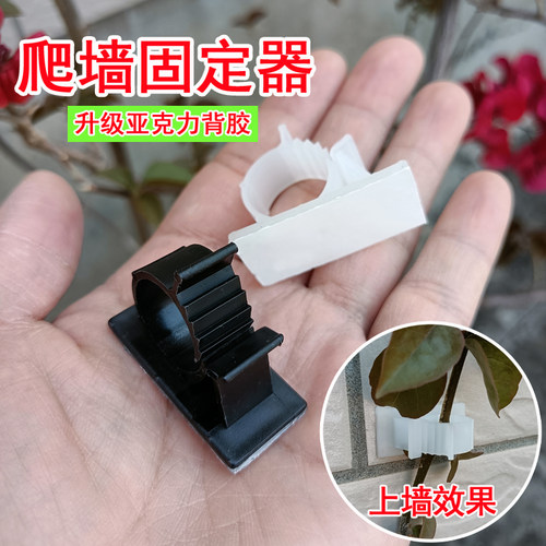 绿植爬藤固定器户外墙钉