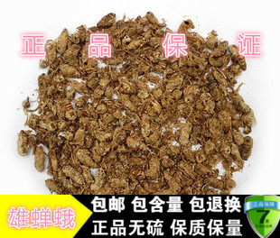 中药材雄蝉蛾 雄蚕蛾 原蚕蛾 雄蝉蛾 晚蚕蛾 100克包邮
