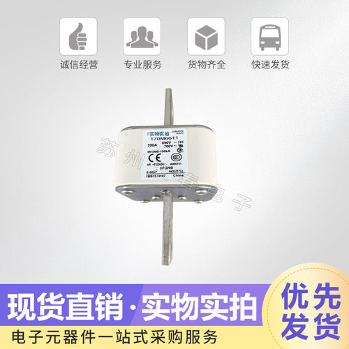 巴斯曼熔断器170M6688保险丝