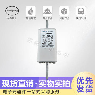 熔断器170M31083109保险丝