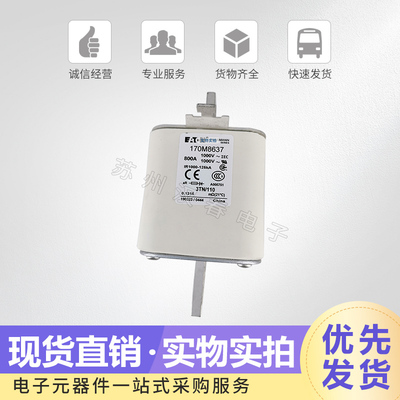 巴斯曼熔断器170M8629保险丝