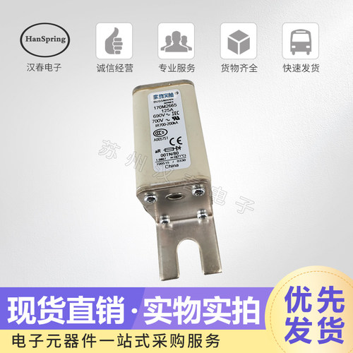 熔断器170M2615 2616 2617 2618 2619 2620 2621品质保证