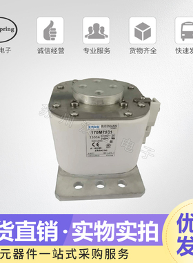 保险丝 熔断器170M7026 7028 7029 7031 品质保证 低价直销