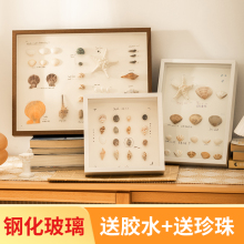 立体中空标本框diy手工相框摆台植物贝壳粘土干花保存展示画框架