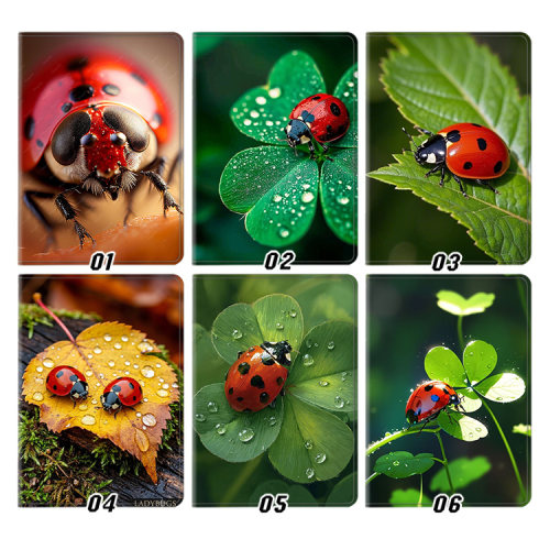 七星瓢虫 昆虫 生物生命外壳适用ipad10.2软air345第十代保护套matepad11笔槽mini6小米7pro13寸10.9荣耀