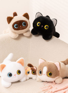 大眼猫咪公仔可爱三花猫毛绒玩具陪伴玩偶娃娃女生日礼物