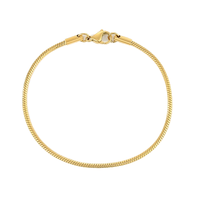 圆蛇链钛钢IPG14K金ins极简风