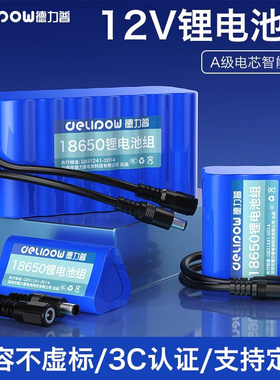 德力普12v锂电池组18650大容量户外照明灯移动电源24伏可充电电瓶