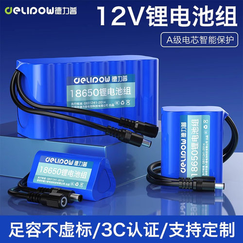 德力普12v锂电池组24伏可充电瓶