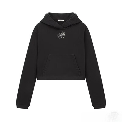 3J1J110吊牌1090小地素dzzit专柜正品2025春女士套头卫衣