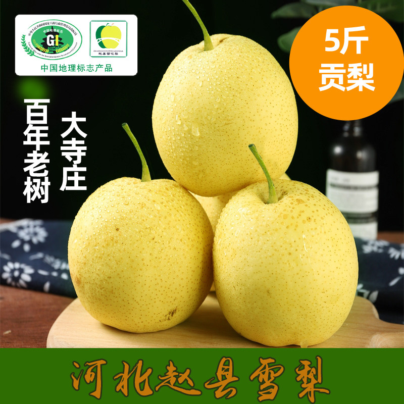 包邮赵县雪花梨河北新鲜时令水果孕妇儿童甜蜜2022年现摘精品大果