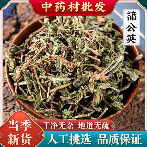 蒲公英中药材500克野生蒲公英整颗干草精选新货蒲公英茶婆婆丁