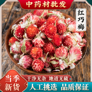 红巧梅红巧梅中药材红巧梅干花红巧梅干花泡茶泡水红巧梅干花茶