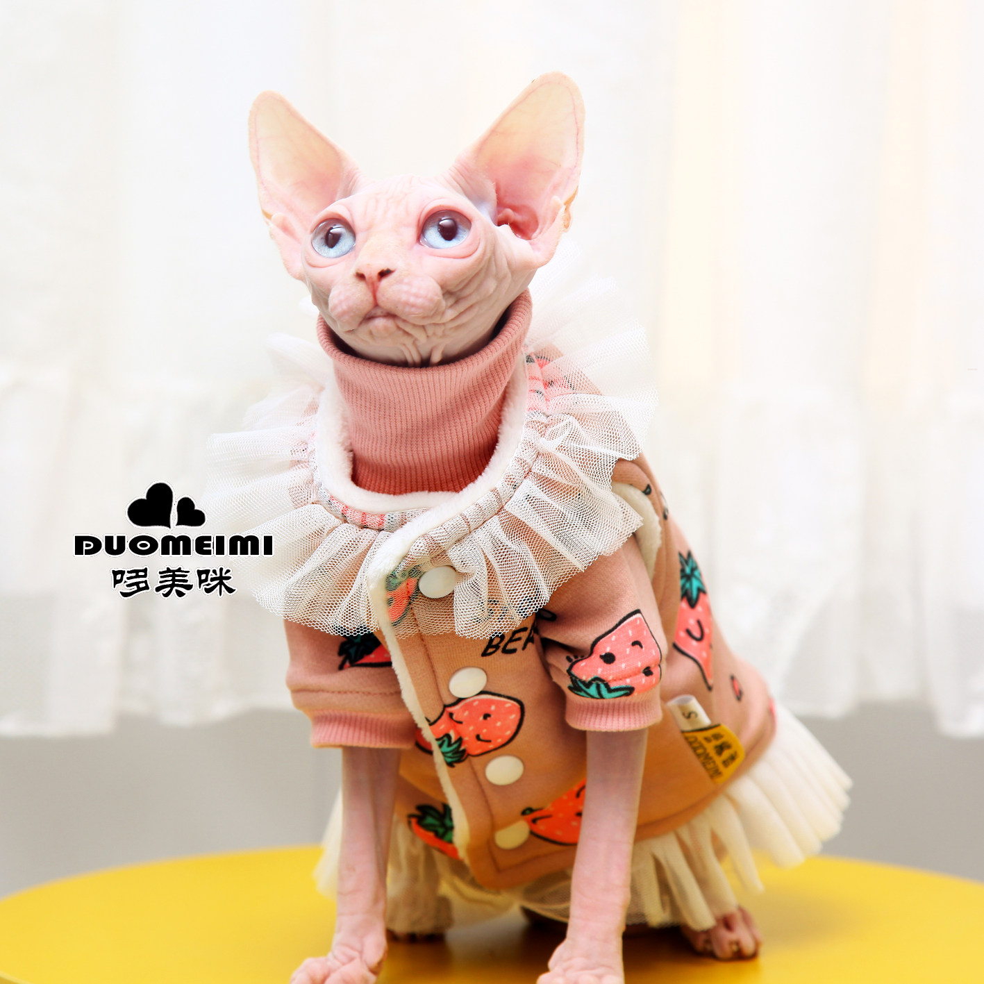 哆美咪 斯芬克斯 无毛猫 德文猫宠物服装/雨衣（新
