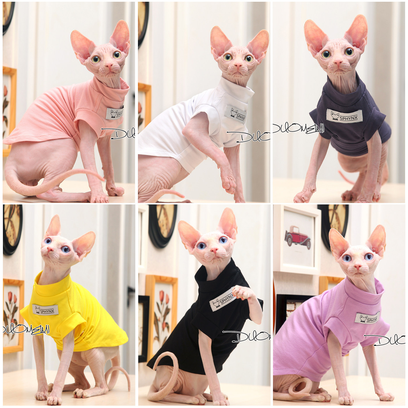 无毛猫衣服 斯芬克斯 猫 夏季春秋纯棉T恤短袖薄卫衣抖音快手网红