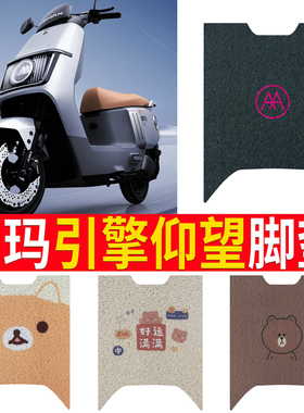 适用于爱玛引擎仰望A715电动车脚垫AM1200DT-16W防水防滑丝圈脚踏