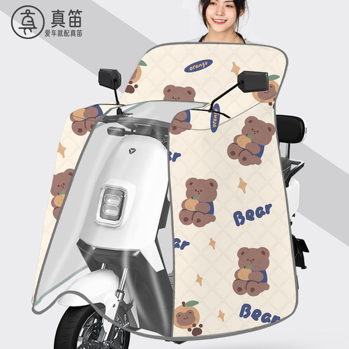 电动车夏大包围挡风被