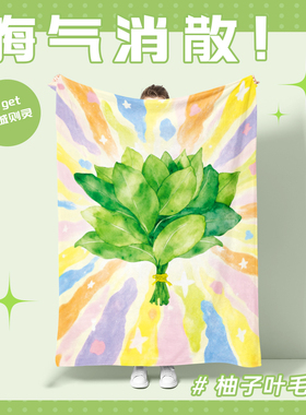 明星同款办公午睡毯法兰绒毛毯披肩毯盖毯沙发空调毯去晦气柚子叶