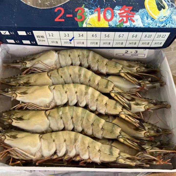 越南黑虎虾8头10头12头15虾类制品