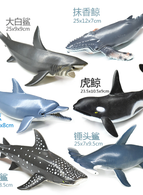 软胶仿真大号抹香鲸大白鲨鱼虎鲸鲨海豚动物海洋生物模型儿童玩具