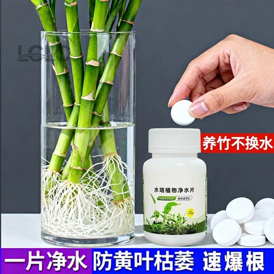 水培植物增氧片净水片